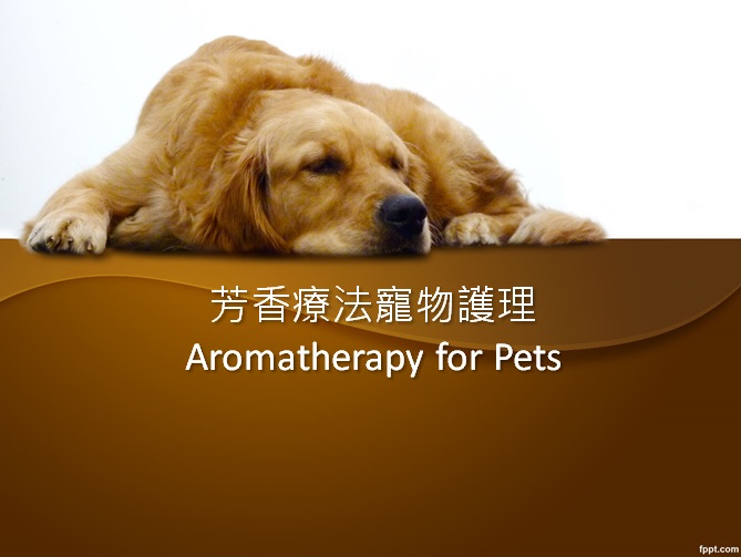 芳香療法寵物護理